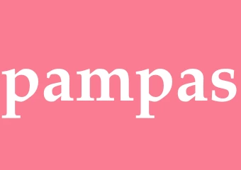 Synonym pampas
