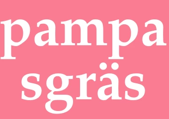 Synonym pampasgräs