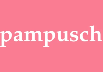 Synonym pampusch