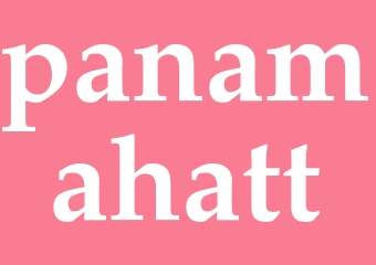Synonym panamahatt