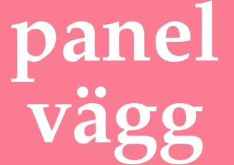 Synonym panelvägg