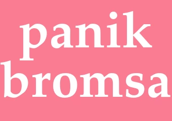 Synonym panikbromsa