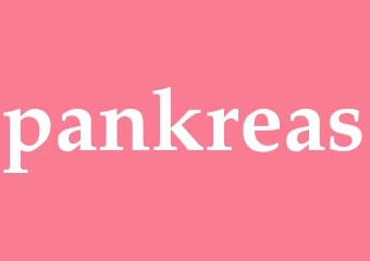 Synonym pankreas