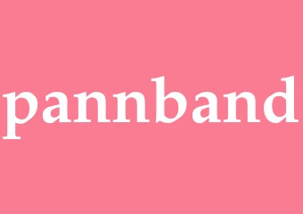 Synonym pannband