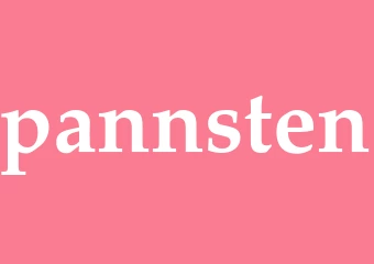 Synonym pannsten
