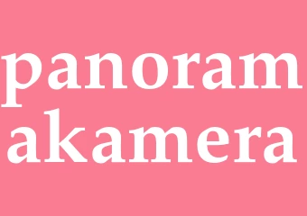 Synonym panoramakamera