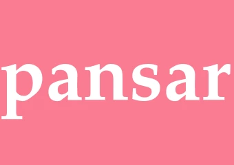 Synonym pansar