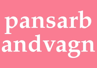Synonym pansarbandvagn