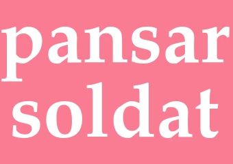 Synonym pansarsoldat