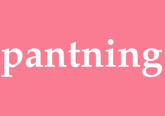 Synonym pantning