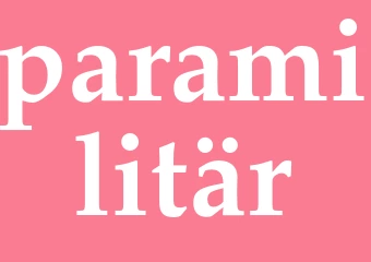 Synonym paramilitär