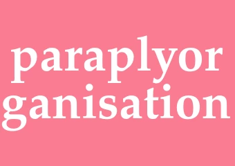 Synonym paraplyorganisation