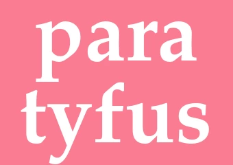 Synonym paratyfus
