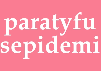Synonym paratyfusepidemi