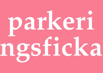 Synonym parkeringsficka