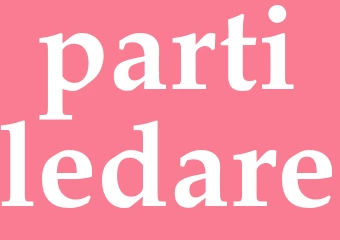 Synonym partiledare