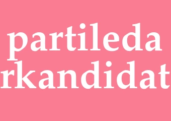 Synonym partiledarkandidat