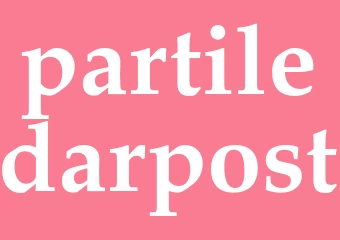 Synonym partiledarpost