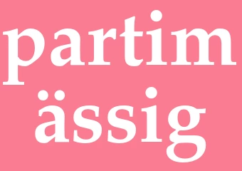 Synonym partimässig
