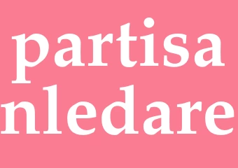 Synonym partisanledare
