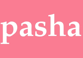 Synonym pasha