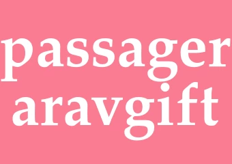 Synonym passageraravgift