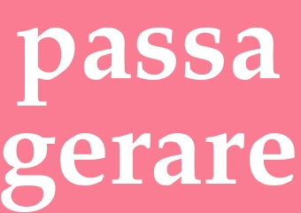 Synonym passagerare