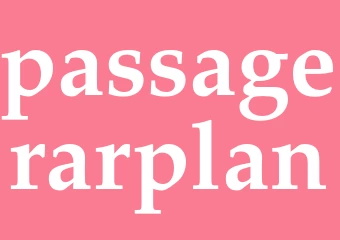 Synonym passagerarplan