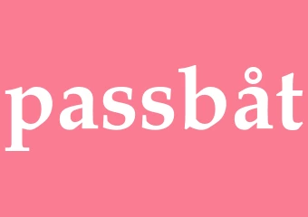 Synonym passbåt