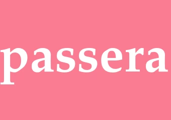 Synonym passera