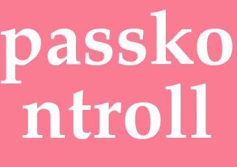 Synonym passkontroll