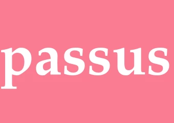 Synonym passus