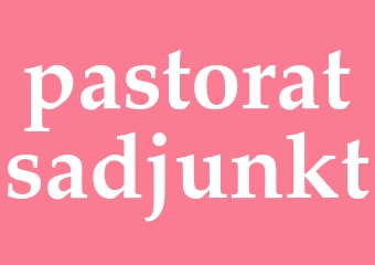 Synonym pastoratsadjunkt