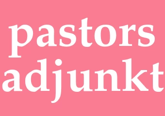 Synonym pastorsadjunkt