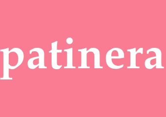 Synonym patinera