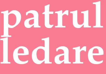 Synonym patrulledare