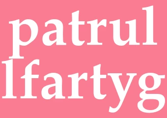 Synonym patrullfartyg