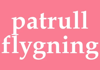 Synonym patrullflygning
