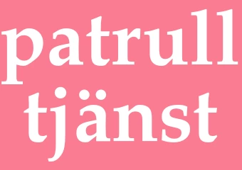 Synonym patrulltjänst