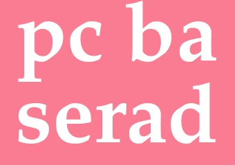 Synonym pc-baserad