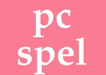 Synonym pc-spel