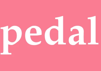 Synonym pedal