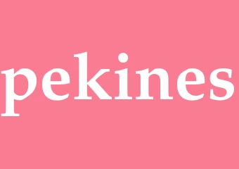 Synonym pekines