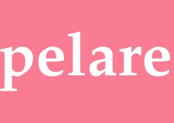 Synonym pelare