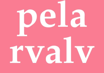 Synonym pelarvalv