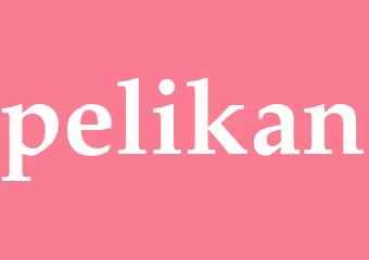 Synonym pelikan