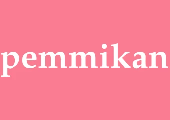 Synonym pemmikan