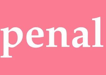 Synonym penal