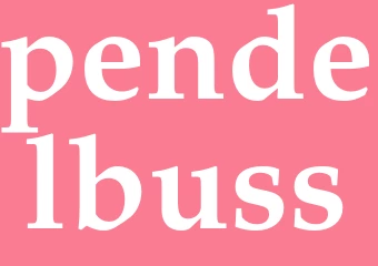 Synonym pendelbuss