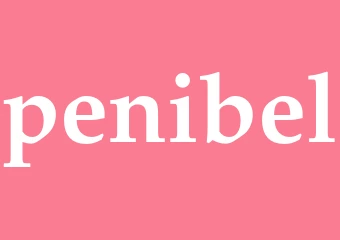 Synonym penibel